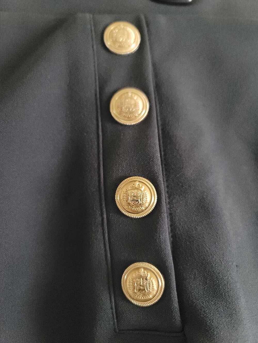 H&M Navy High Waist Shorts with Gold Button Accents - Picture 7 of 11
